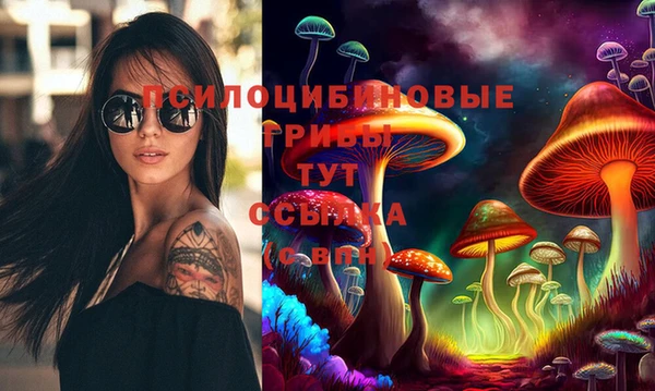 соль ск Покачи