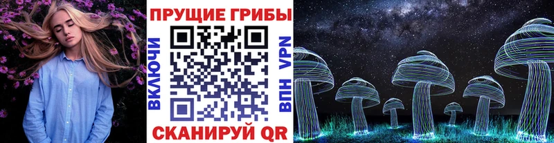 Псилоцибиновые грибы мицелий  Калининск 